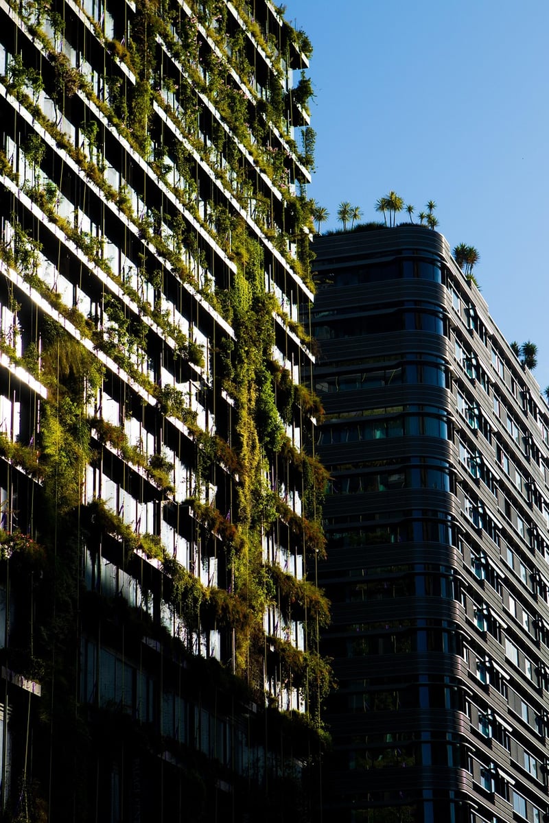 Eco-Friendly Forest